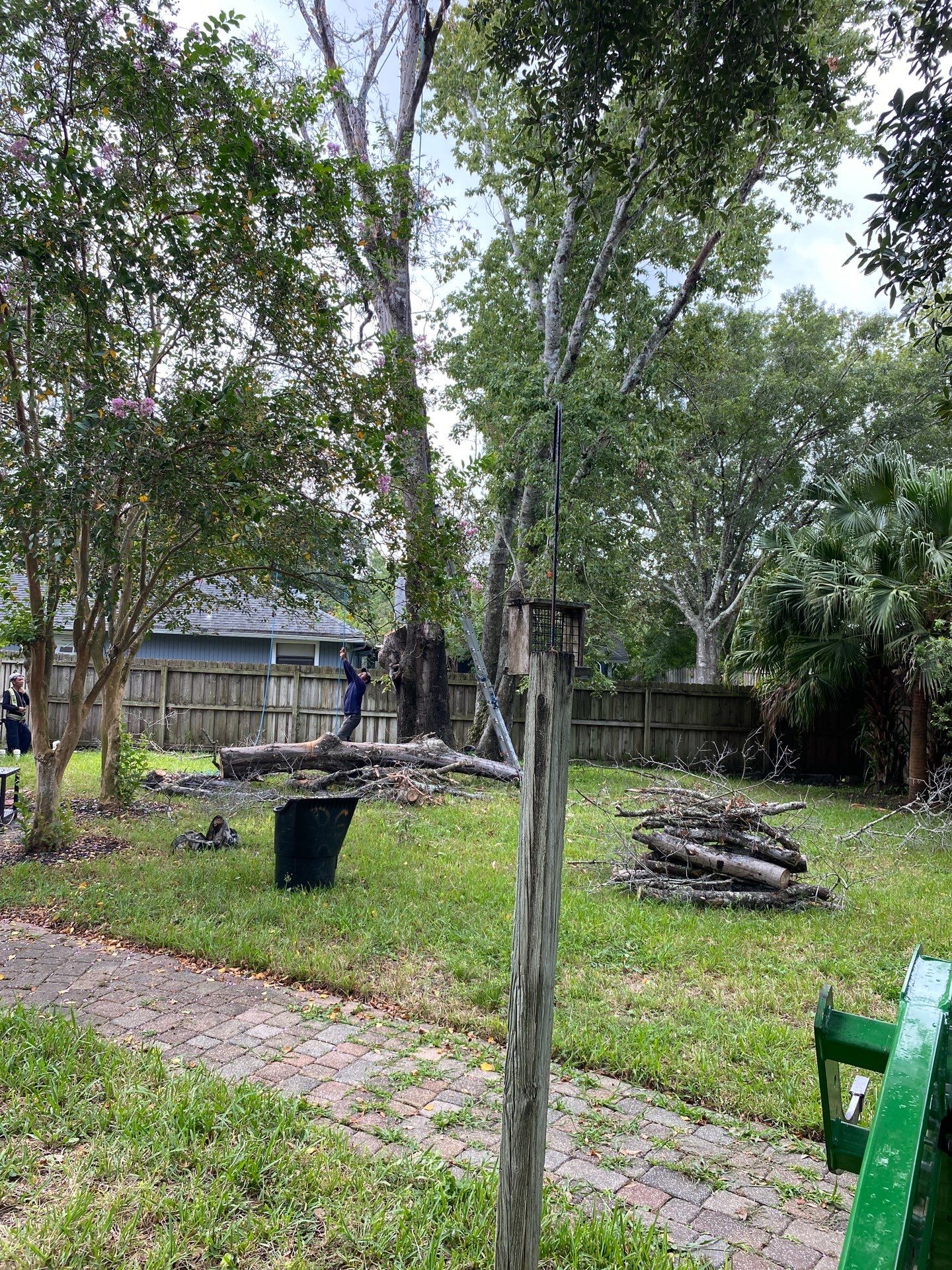 Tree Removal | Residential by ProGreen Services