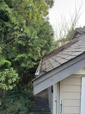 Gutter Cleaning