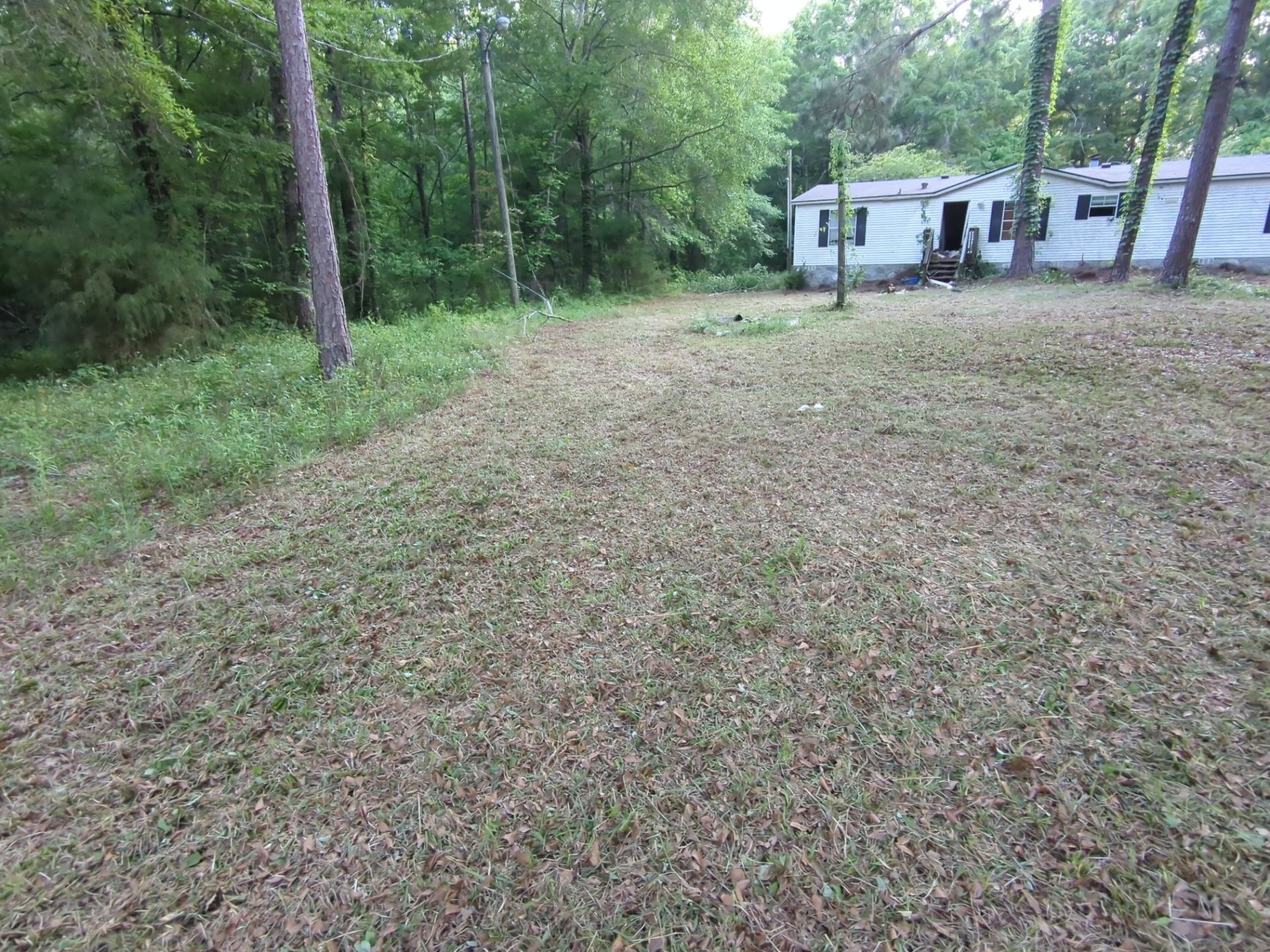 Exterior Clearing - tree trimming - grass cut by Swift Signings and Services LLC