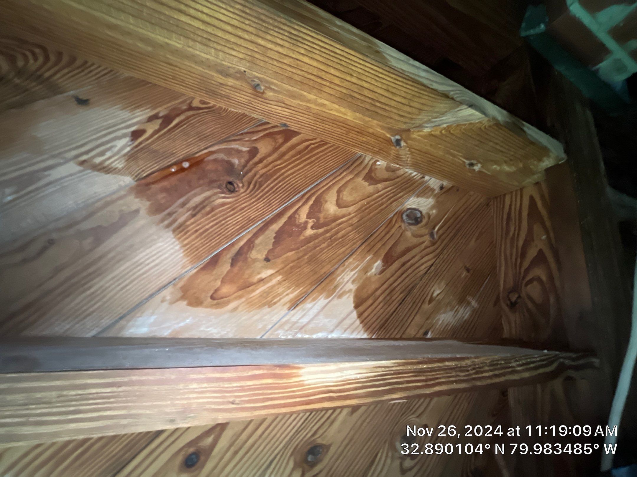 Limited Mold Remediation by EAS Environmental, LLC.