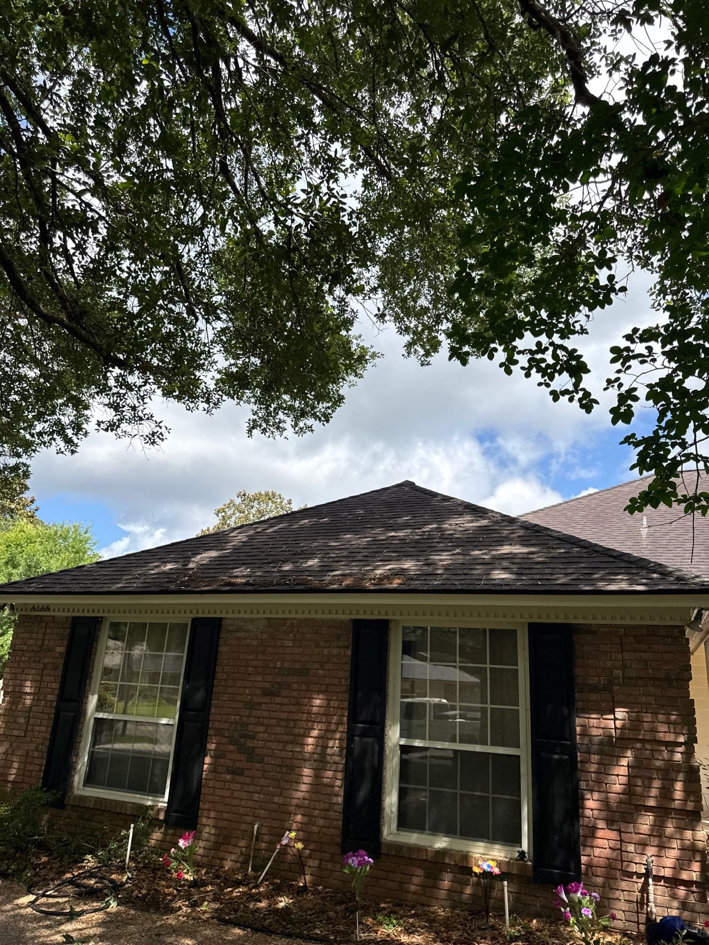 Deerwood Resident | Tree Trimming by ProGreen Services