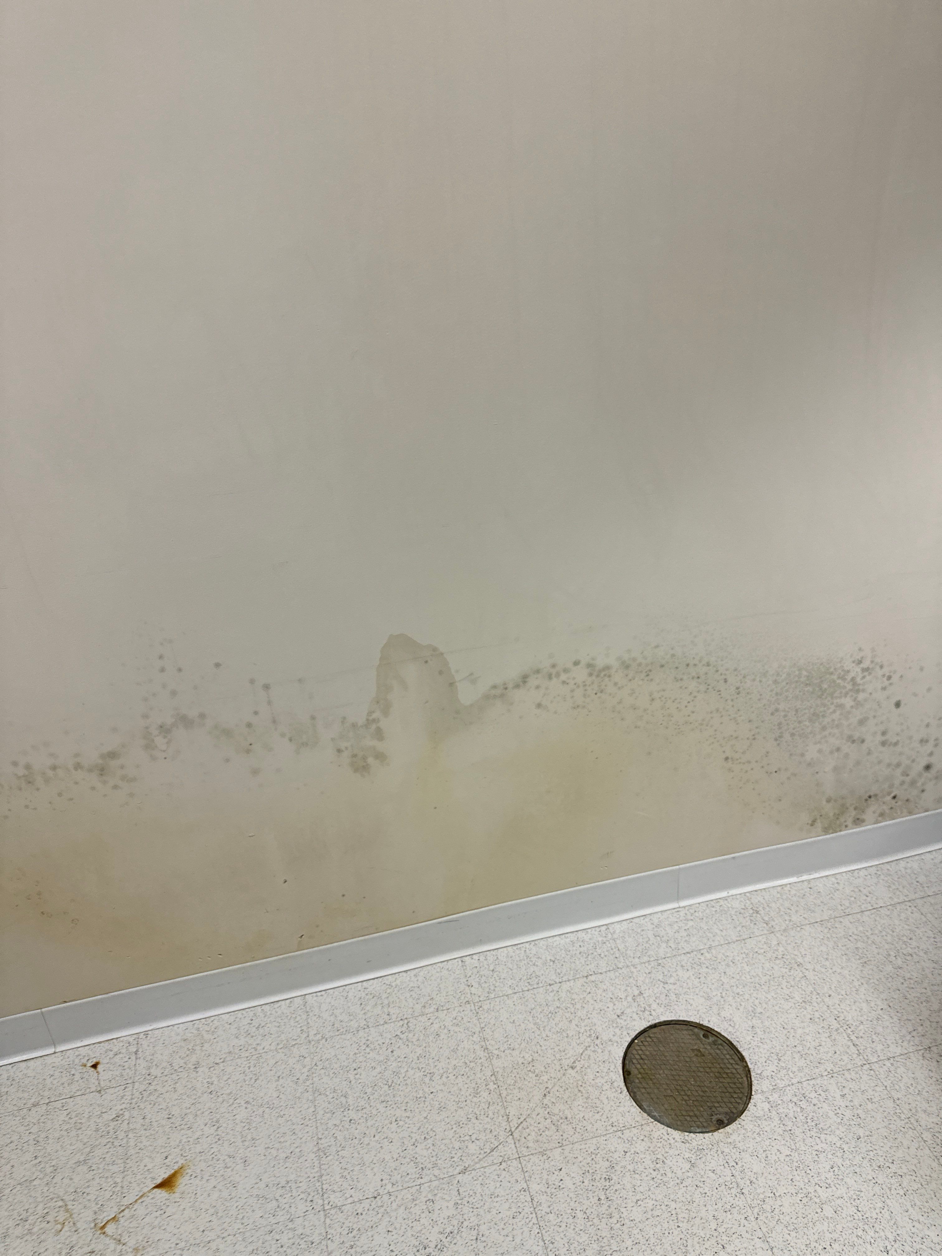Mold Remediation Fairfield NJ by Pure Service Pro, LLC 