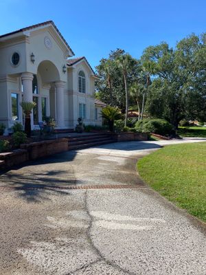 Deerwood Resident | Palm Tree Trimming & Clean-Up