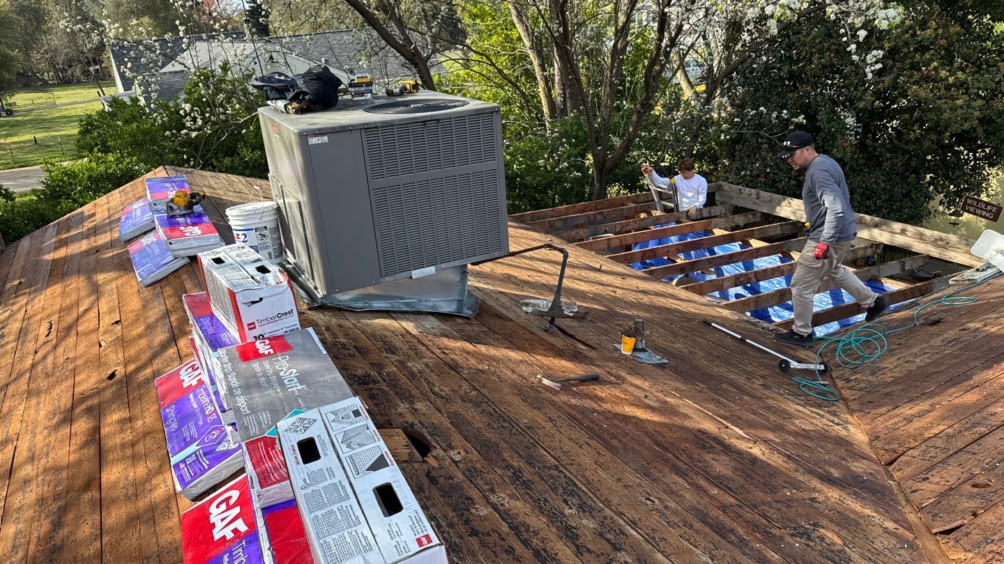 Willa Holmstock by NuLead Construction Inc