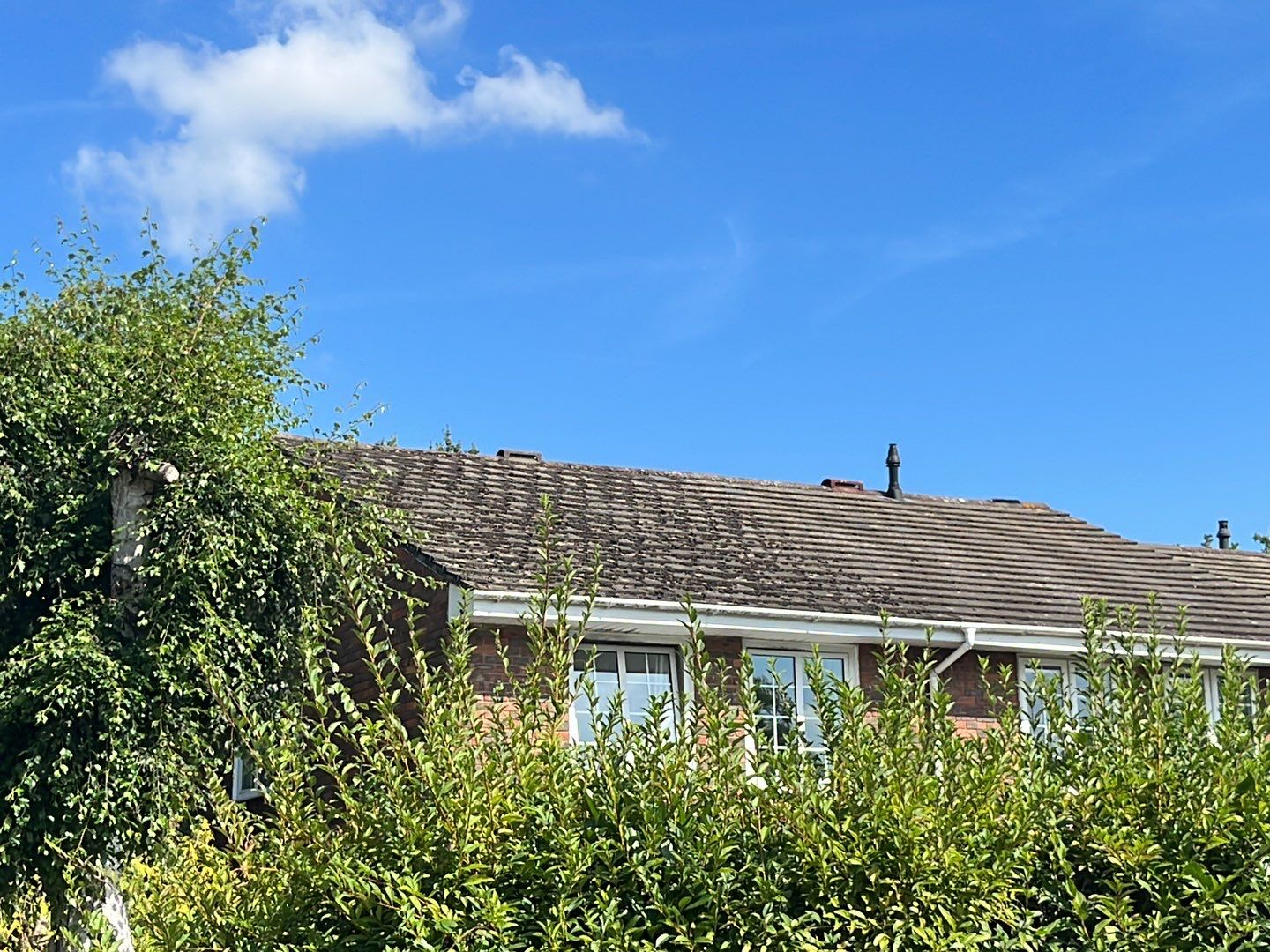 Roof Cleaning and Biocide Treatment using Honda 15lpm Low Pressure Washing Machine by Ges Exterior Cleaning ltd