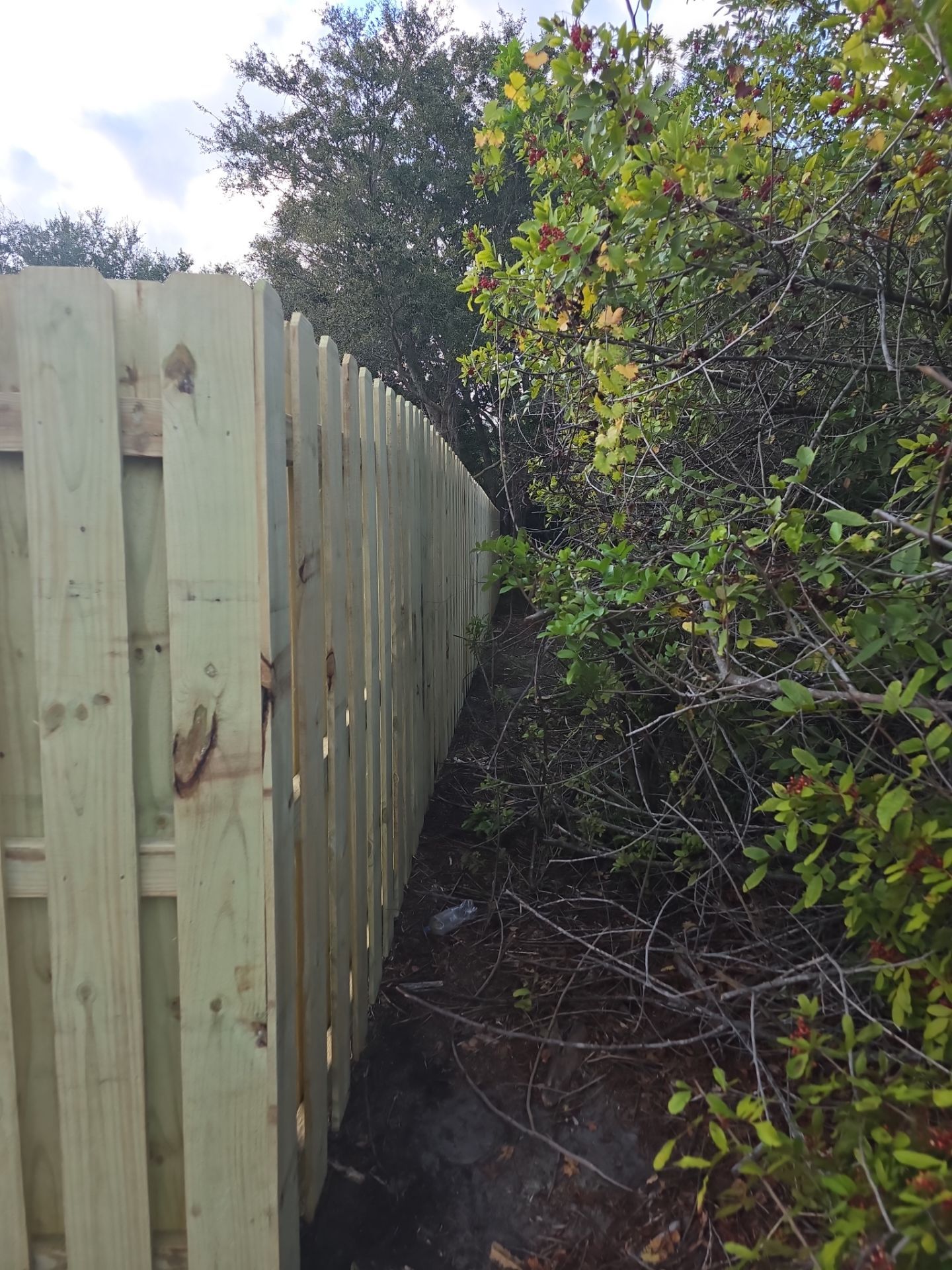 Shadowbox Wood Fence in Englewood by True Fence LLC
