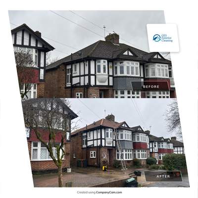 Roof Clean Epsom