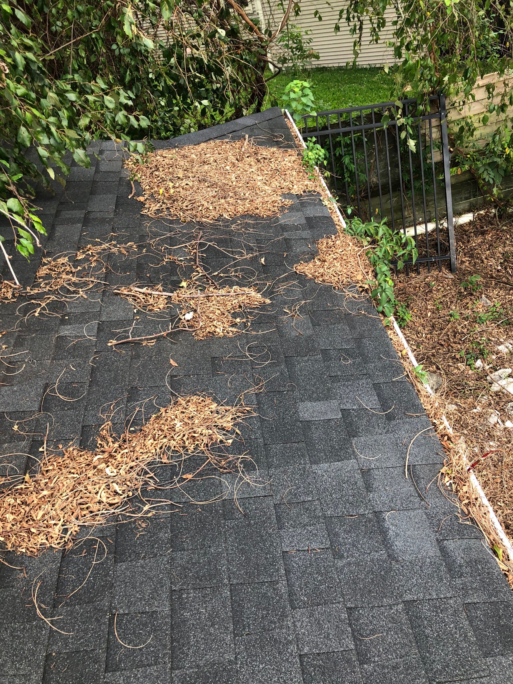Commercial gutter cleaning Jacksonville, NC before photo with filled gutters