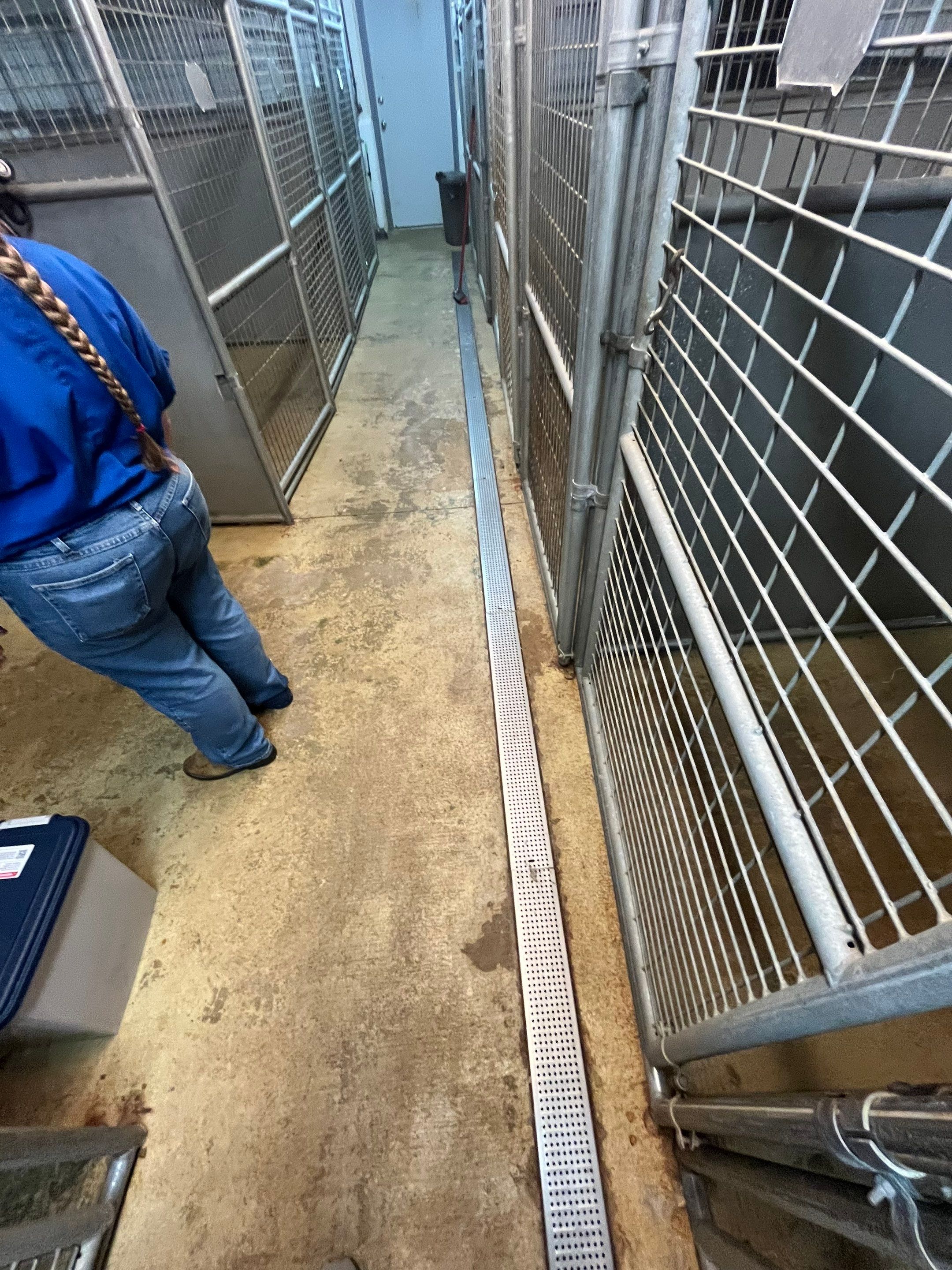Durable Commercial Concrete Coatings for Brandon Valley Veterinary Clinic by Select Painting, Coatings & Garage Cabinets