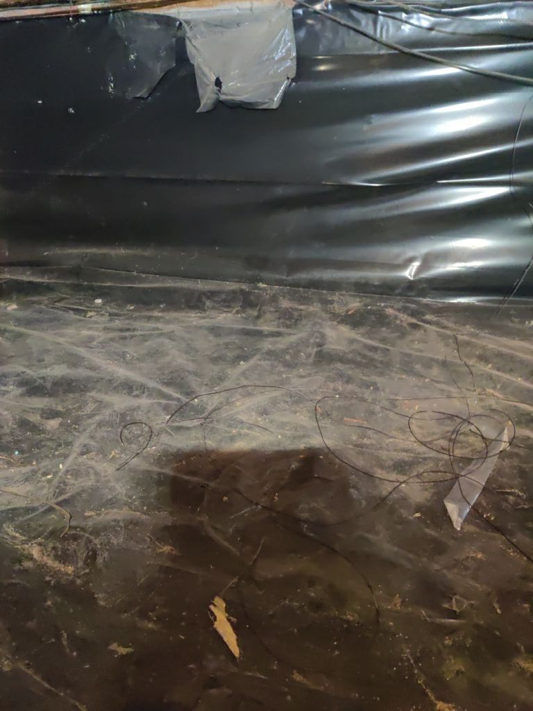 Crawl Space Cleanup  by Accountable Home Services