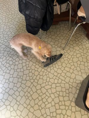 Project in Milwaukee