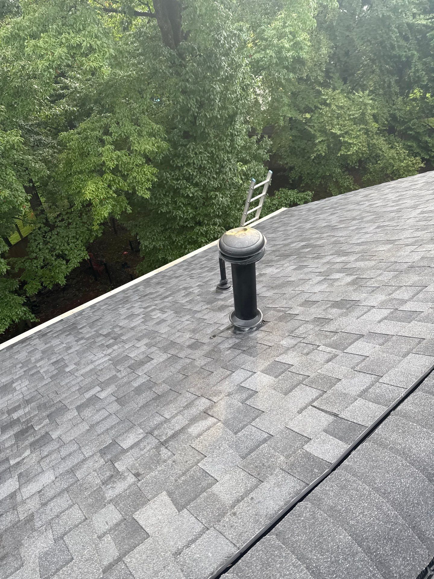 Lorton: Residential Roof with CertainTeed Landmark Pro in Max Def Moire Black by RM Banning, Inc.