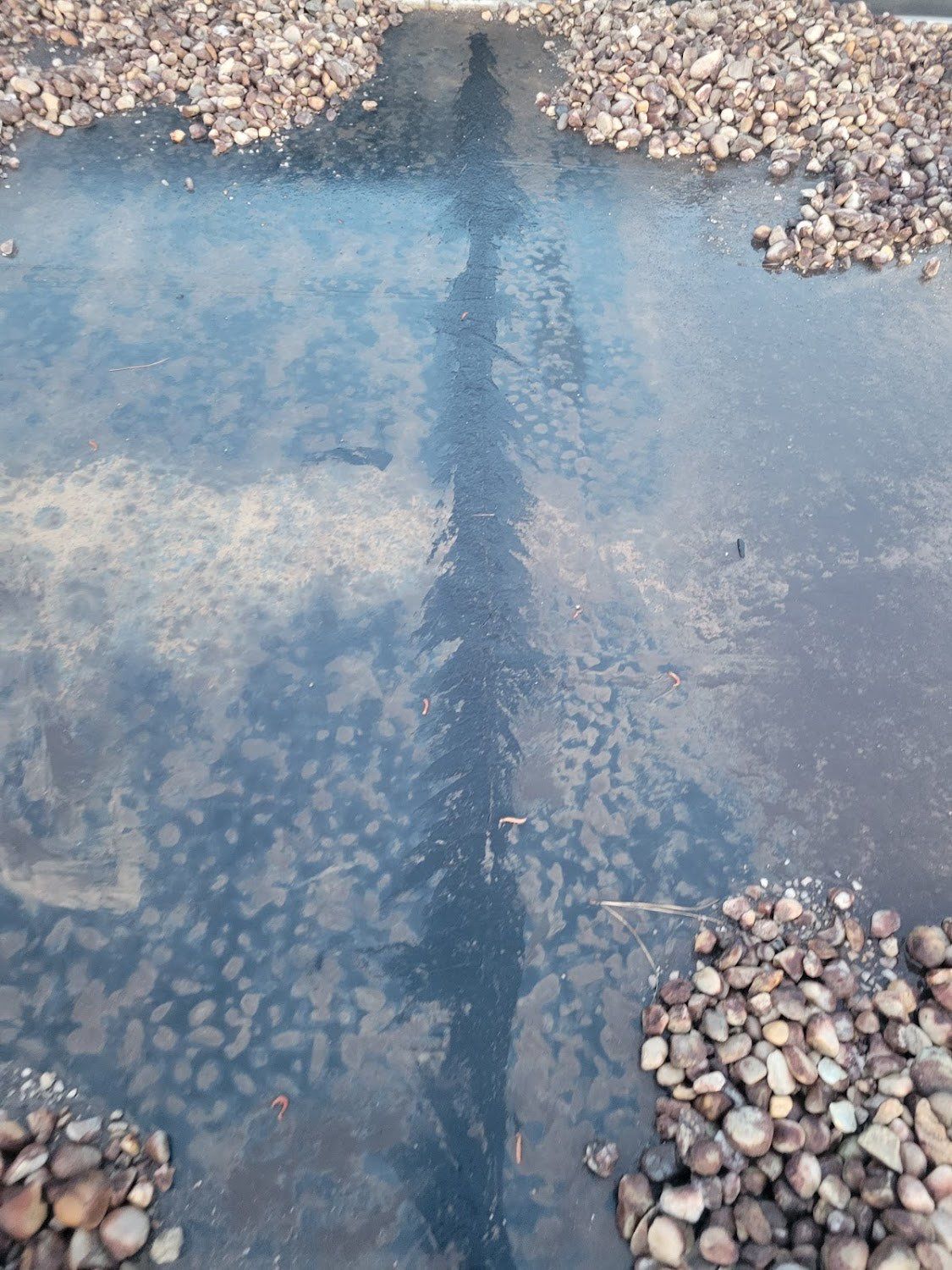 Commercial Roofing Repair using Custom Patch & Hand Weld by Carolina Trophy Roofs