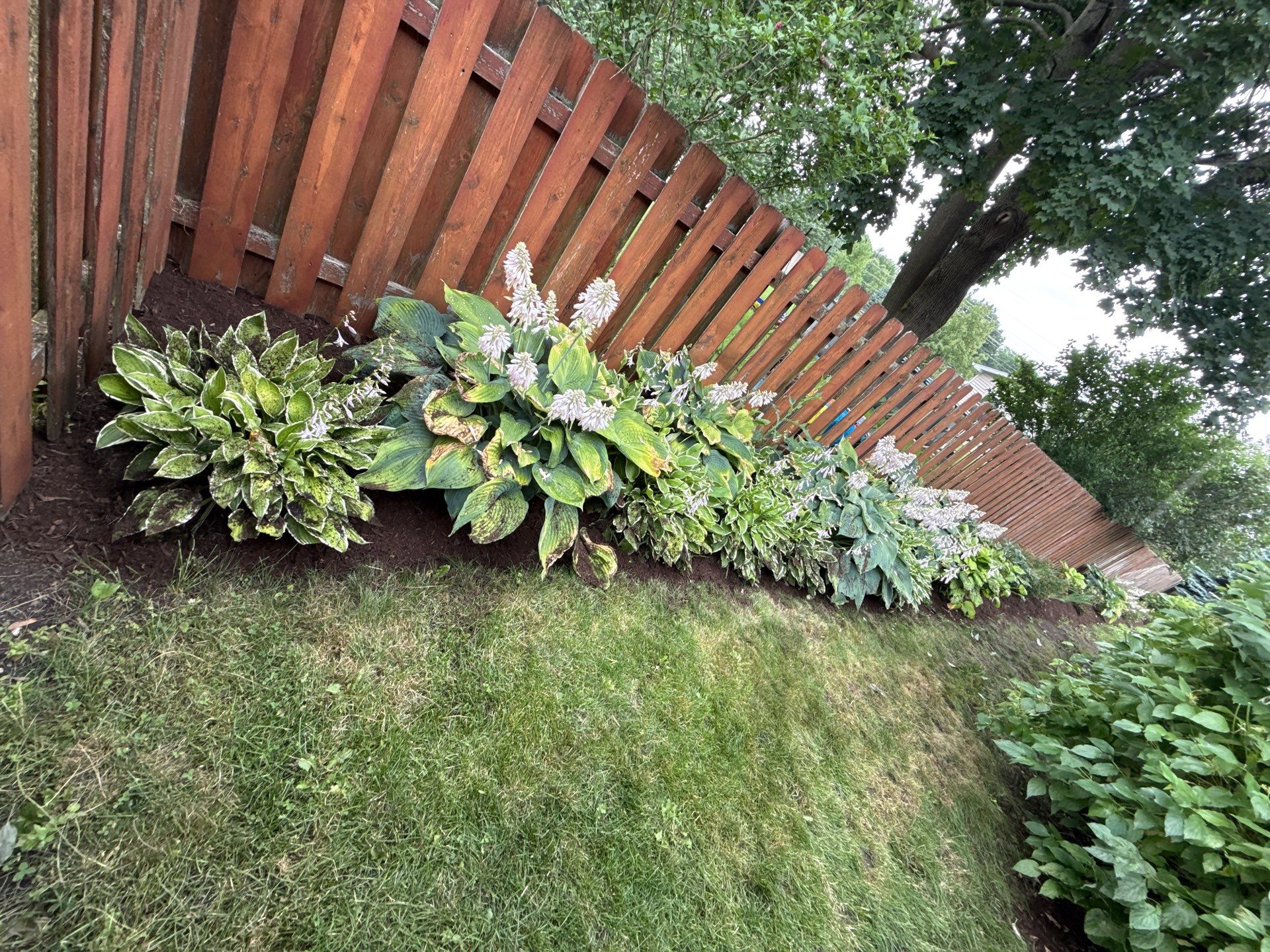 Rob M. - Arlington Heights, IL by A&N 