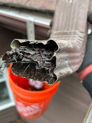 Turtle Shell gutter protection installation in Naperville, IL 60563, photograph 18