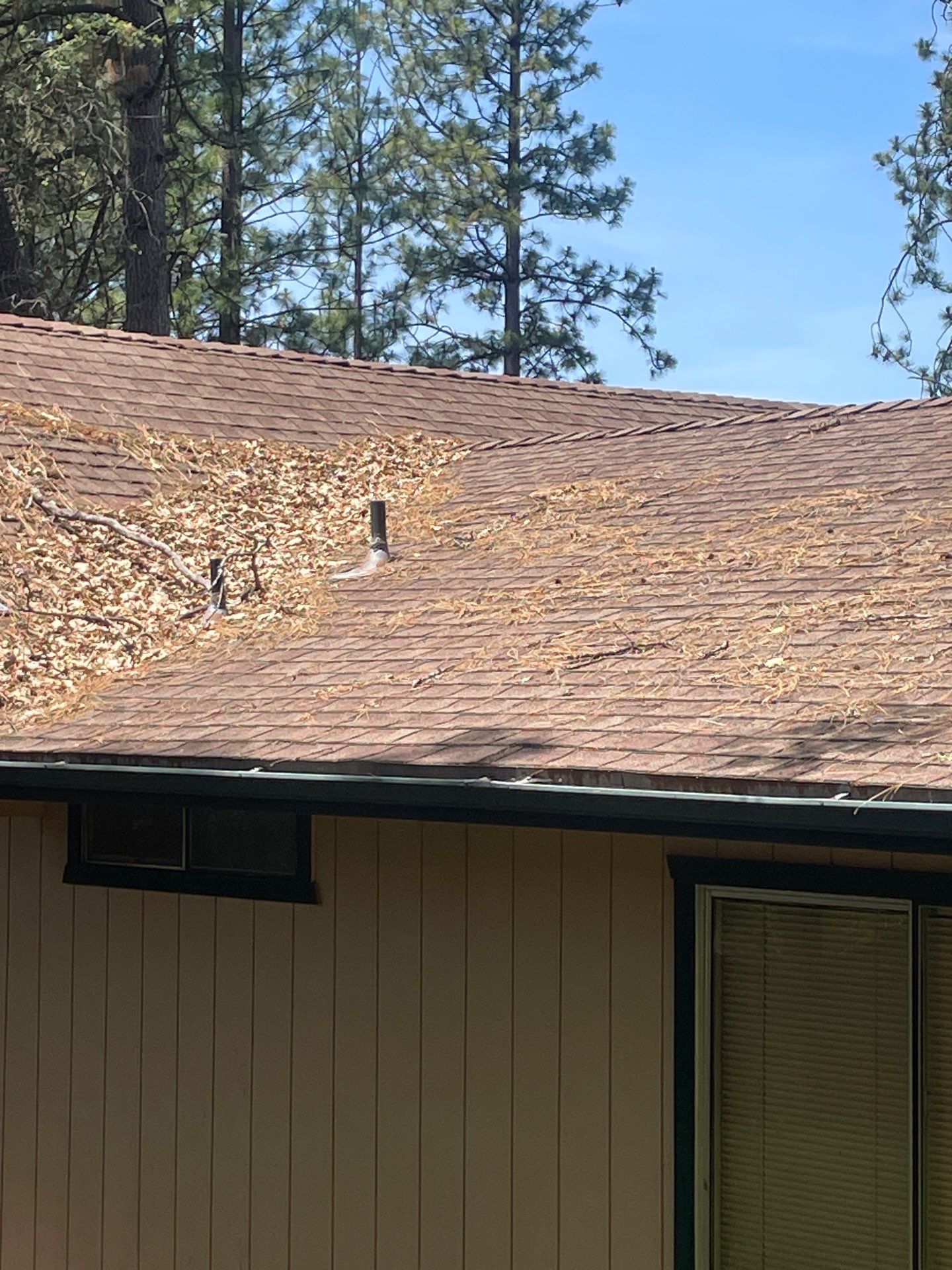 Roof Rejuvenation using Roof Maxx Treatment by Roof Maxx of Folsom
