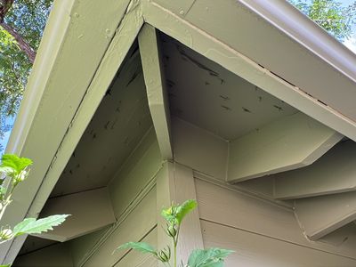 Project in Centennial