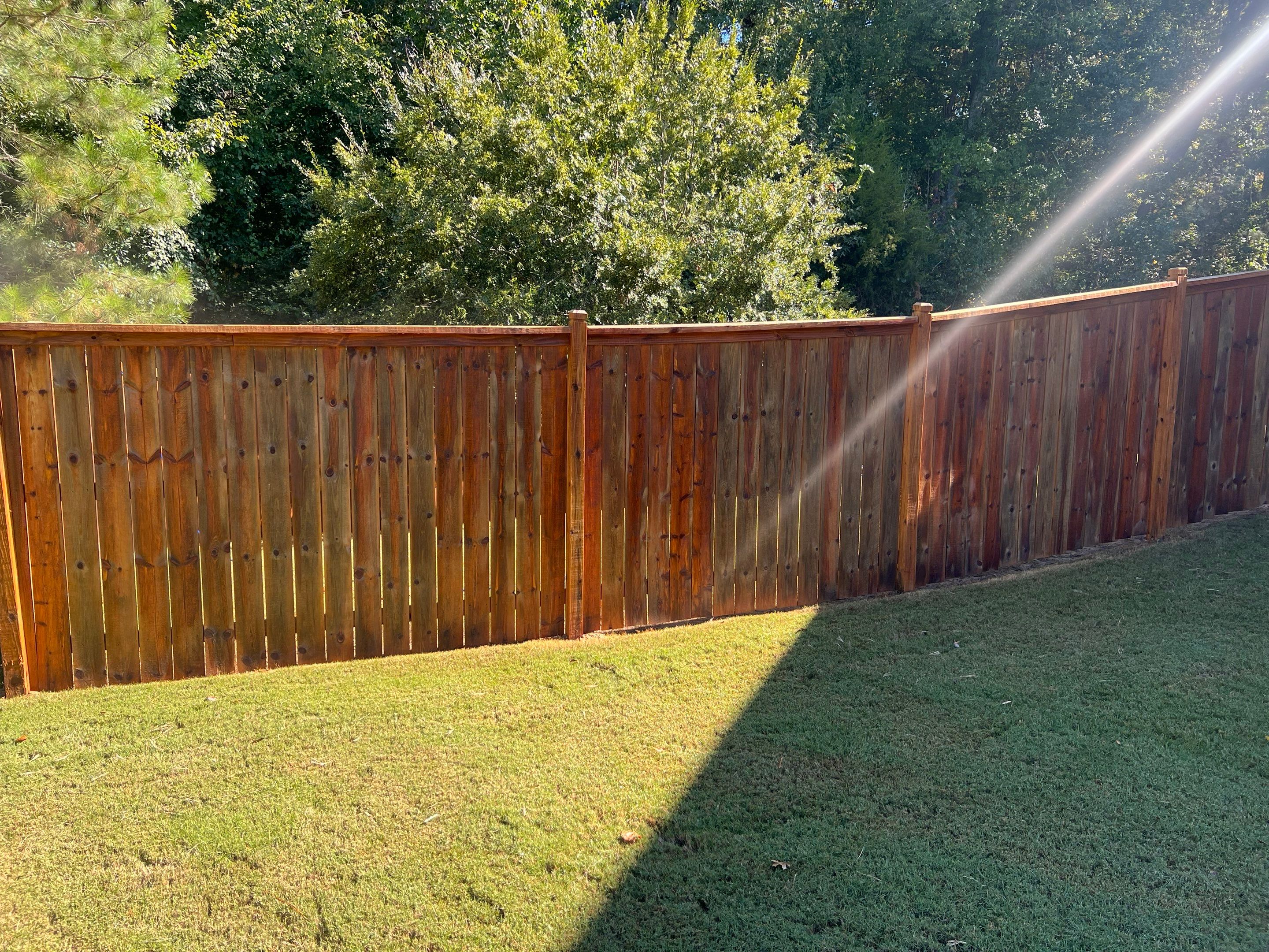 Fence Staining using Pecan by SSE by Titans of Timber Fence & Stain