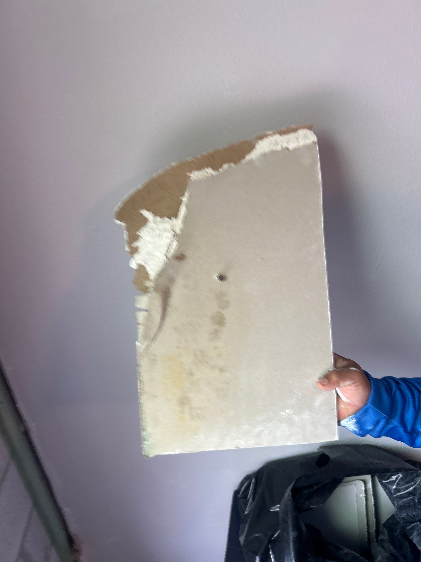 Bradenton Mold Removal by Ampm Restoration Services