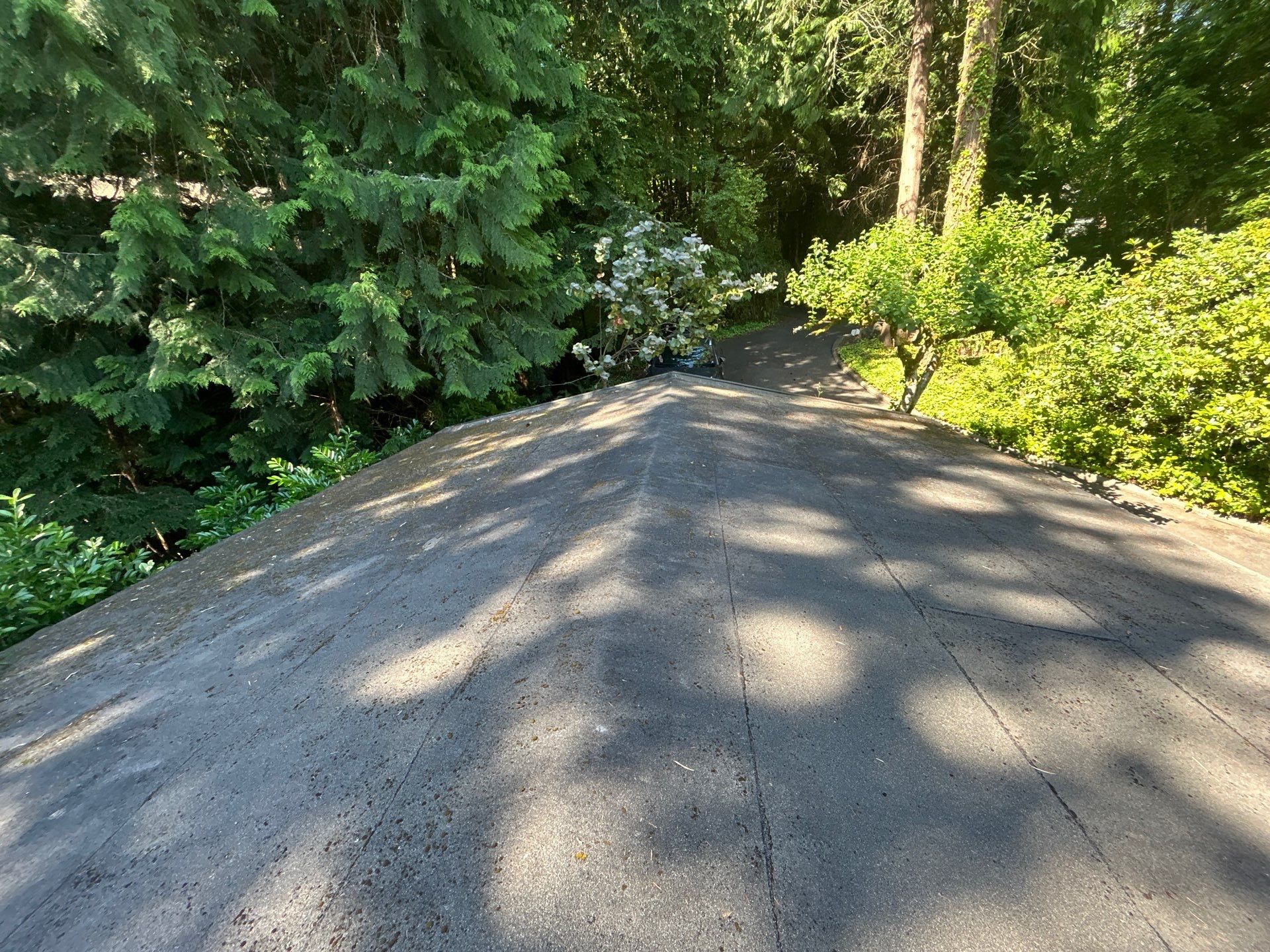 Project in Seattle by Peaks and Valleys Construction