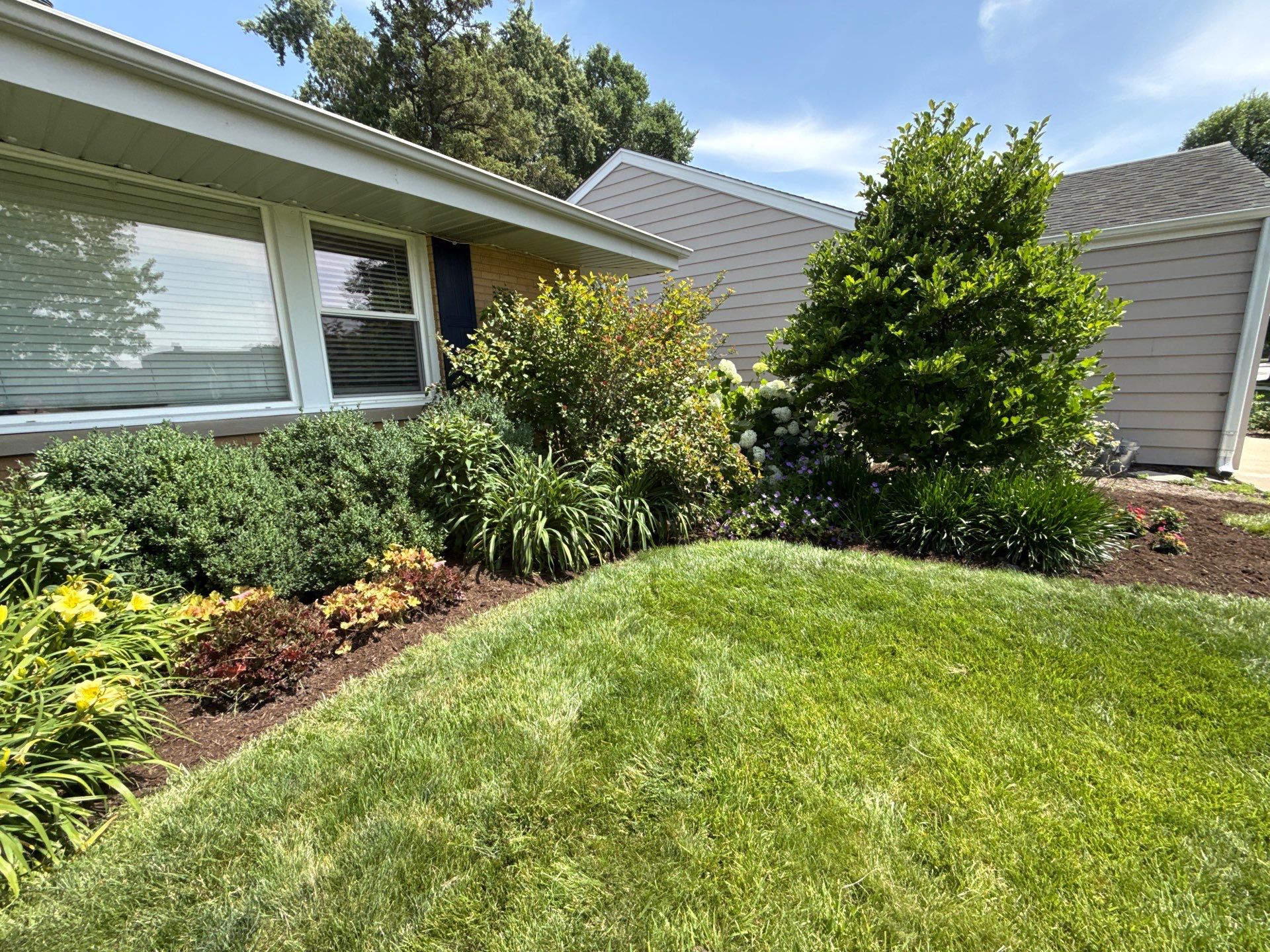 Cheris B. - Mount Prospect, IL by A&N 