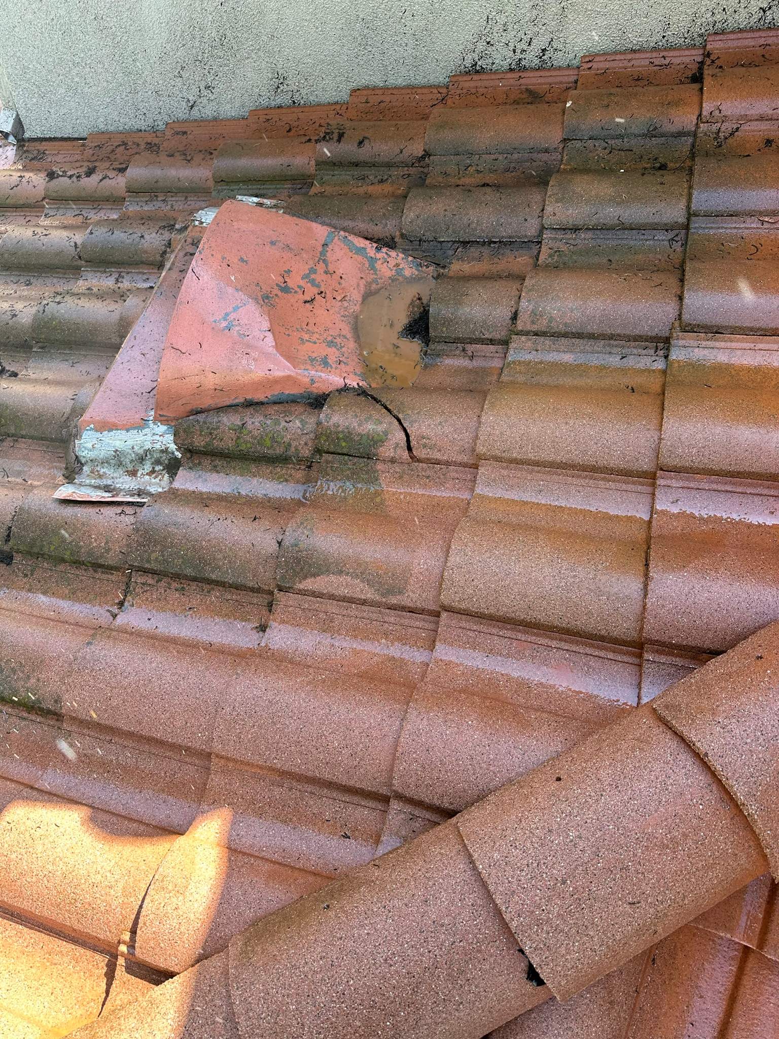Roof wash on this dirty roof covered in algae by Property Cleaning Experts, LLC