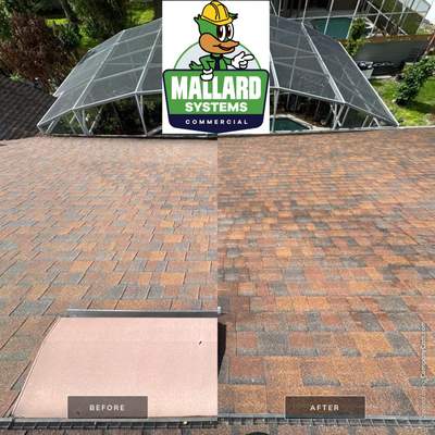 Shingle Roof Debris Removal and Cleaning