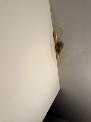 Water Damaged Closet Ceiling and Drywall Repair