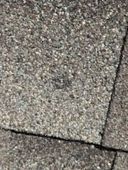 Project in Garland by EL-GC LLC 