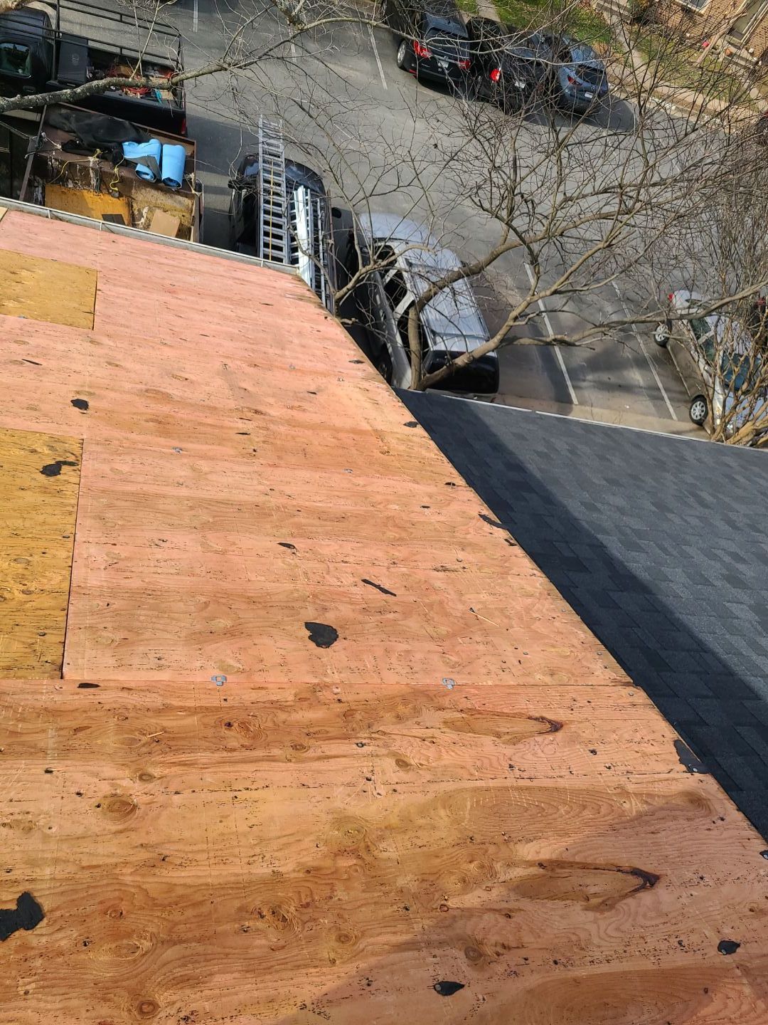 Burke CertainTeed Landmark Pro Roof in Max Def Espresso by RM Banning, Inc.