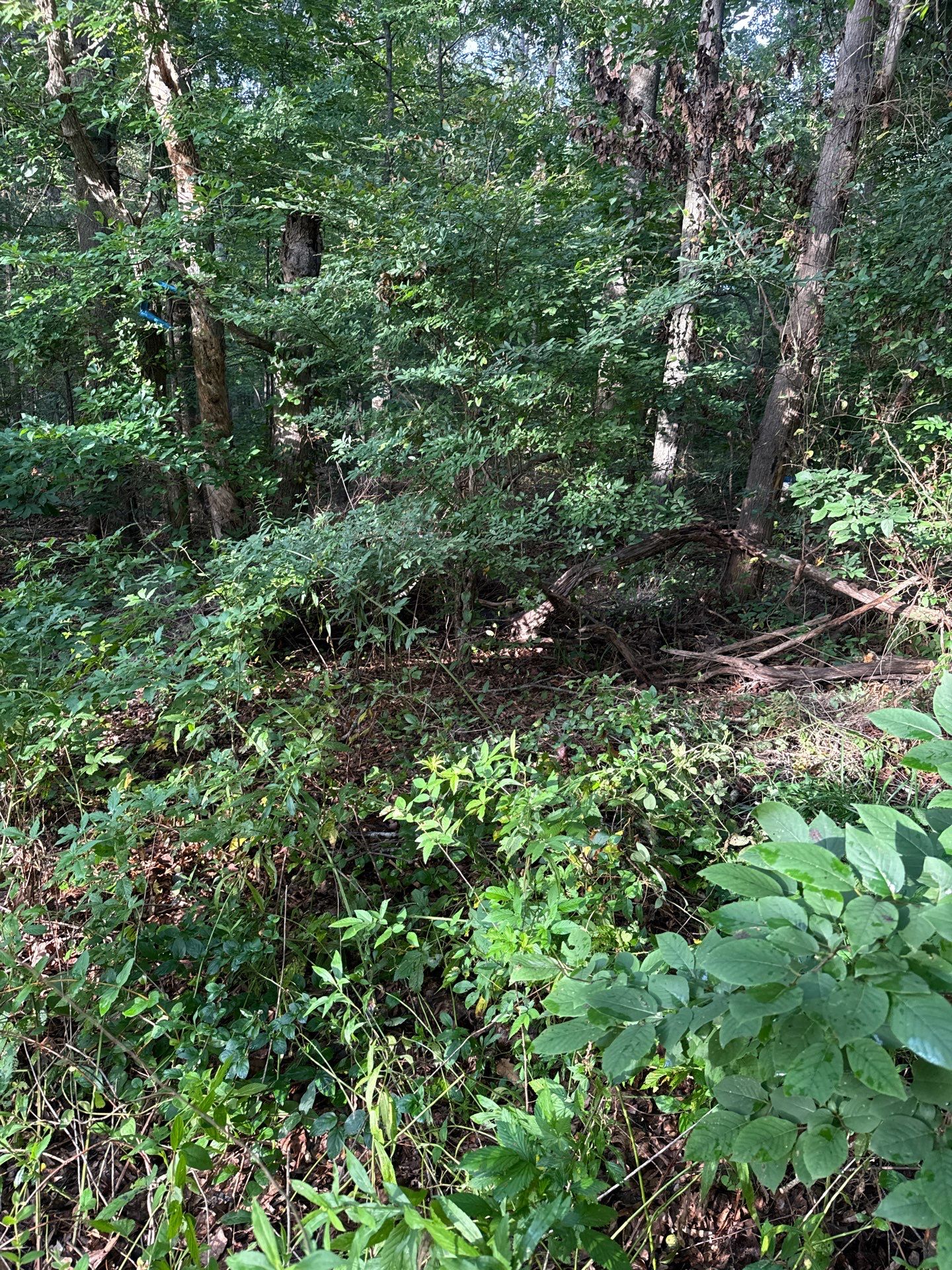 Project in Indian Trail by Badger Hauling