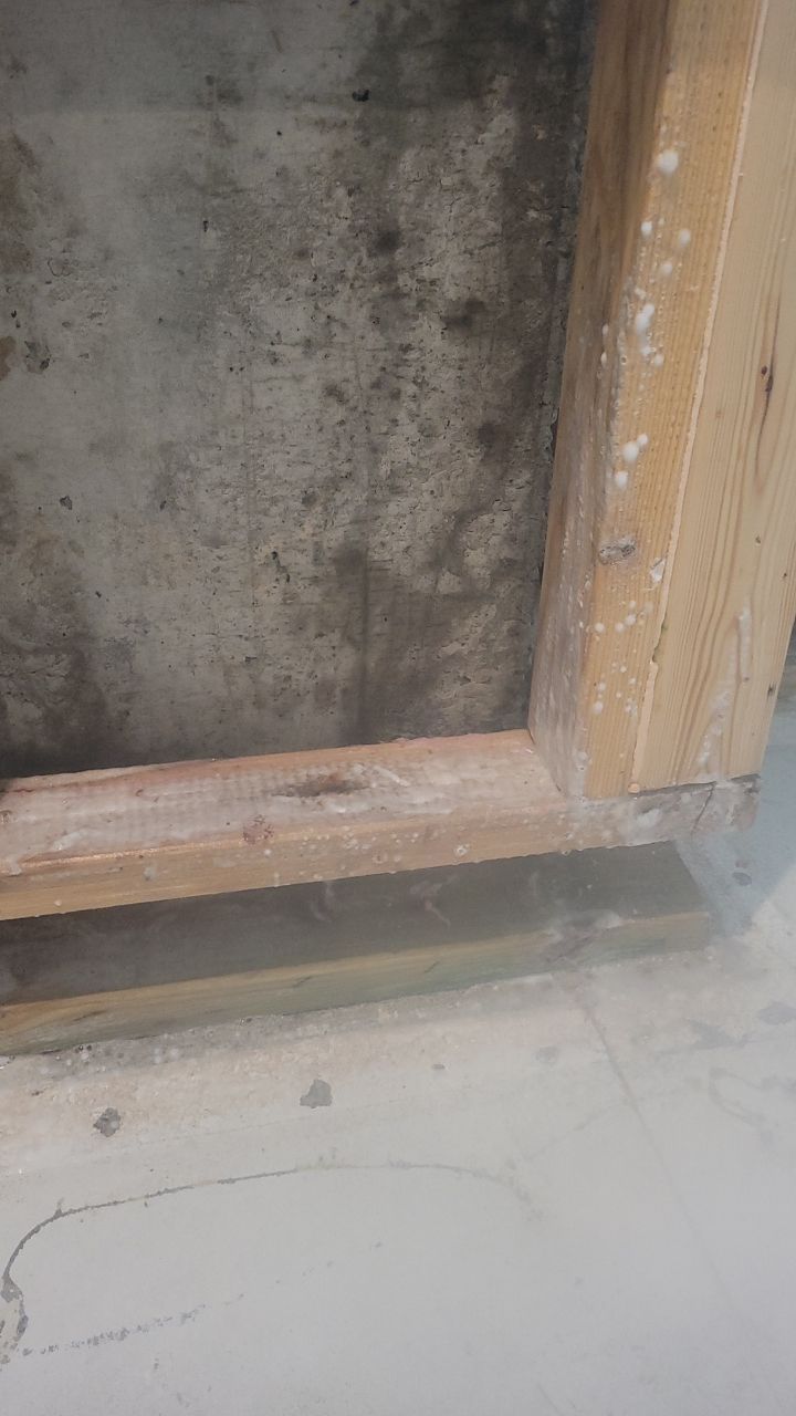 Mold Remediation  by Accountable Home Services