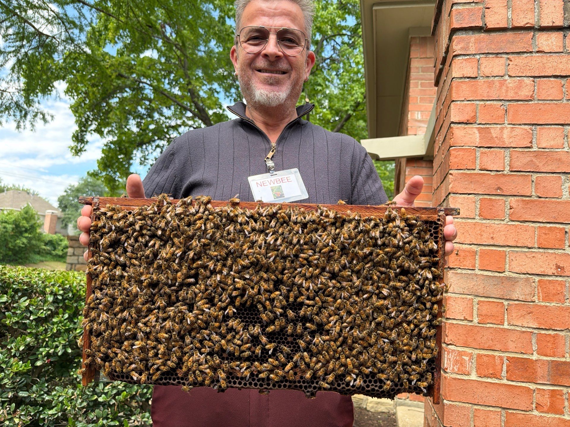 Apartment Retreat for Honey Bees in Garland by Rockwall Honey Bee Company