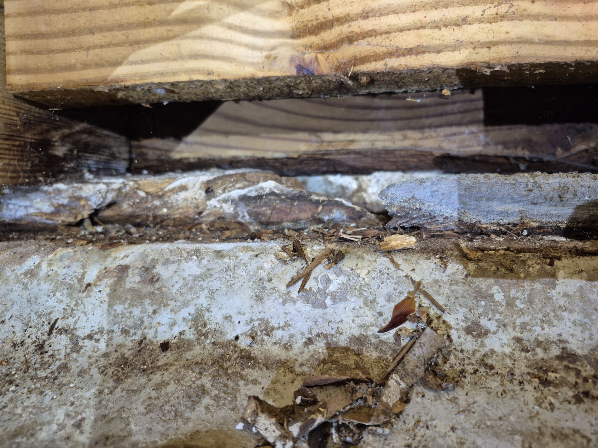 Project in Norfolk by Patriot Crawl Space Repairs