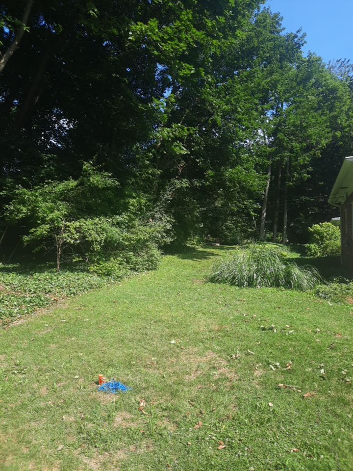 Tree Removal using Tree Removal by Mike Jones & Sons Tree Service LLC 