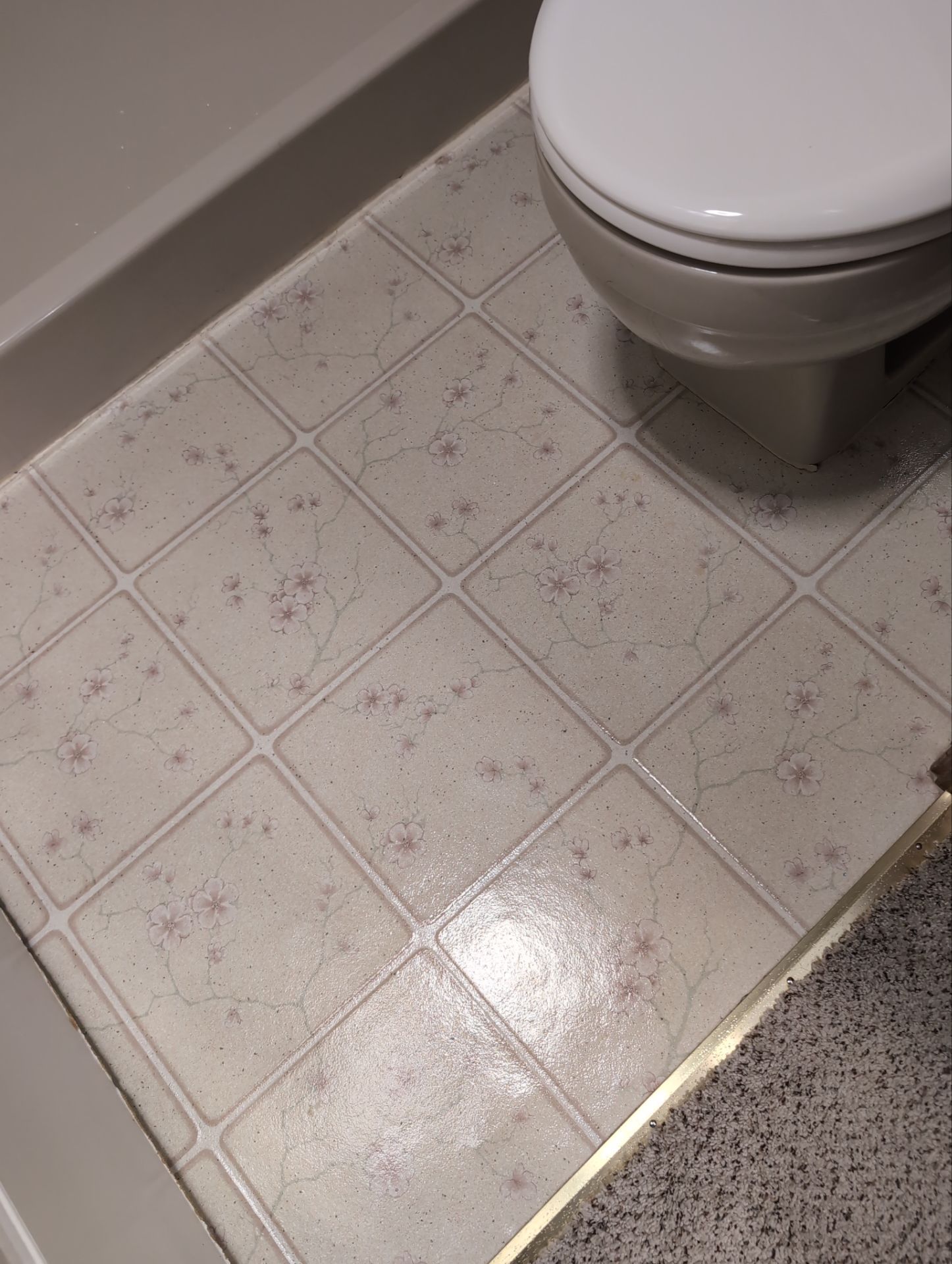 House Cleaning service performed in West Linn by Cloud 9 Professional Cleaning Services