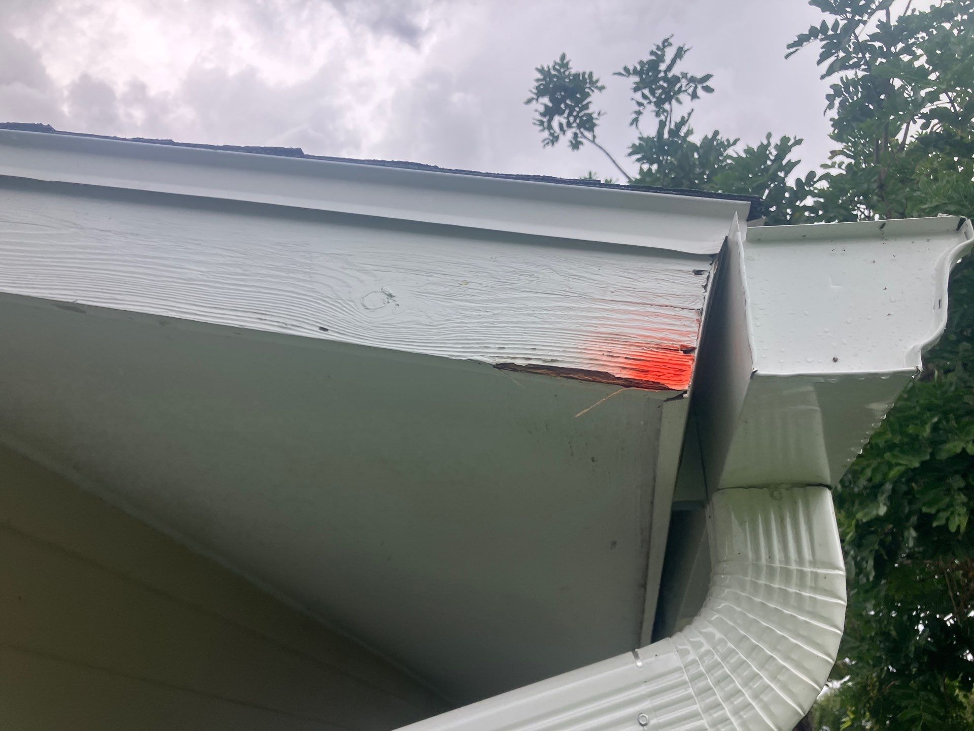 Project in Pinellas Park 33781 by Mitchell Roofing Company LLC