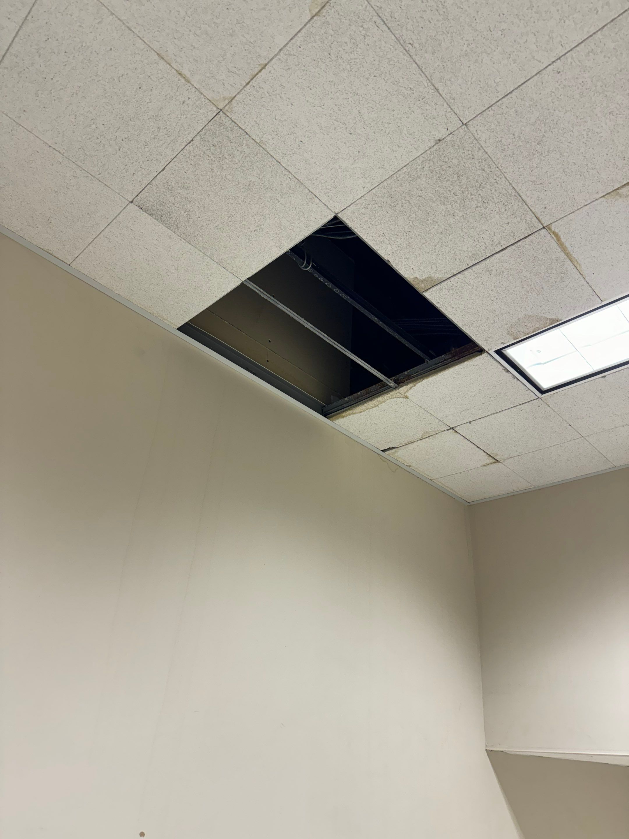 Mold Remediation Fairfield NJ by Pure Service Pro, LLC 