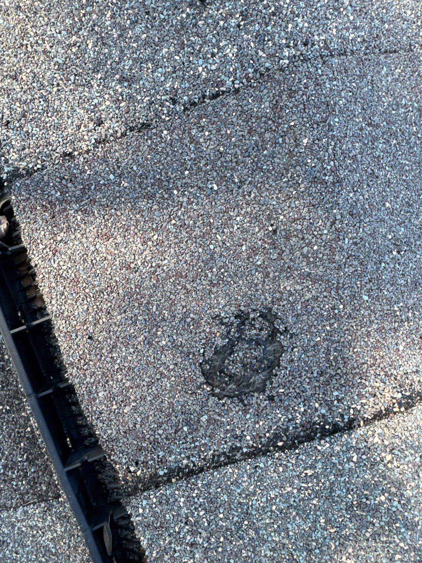 Debbie T by Boss Hogg Roofing