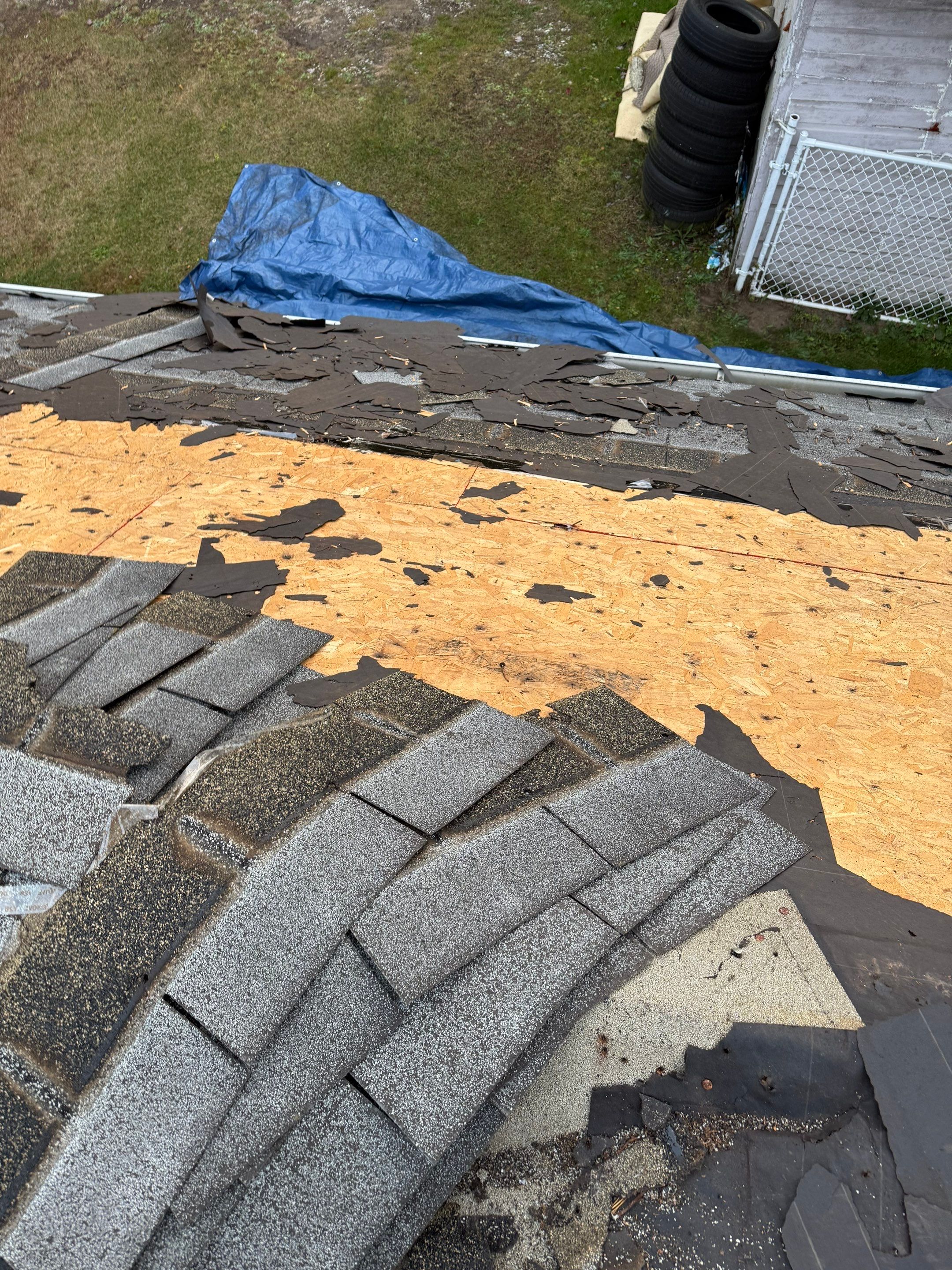 Project in Holland by Serene Construction