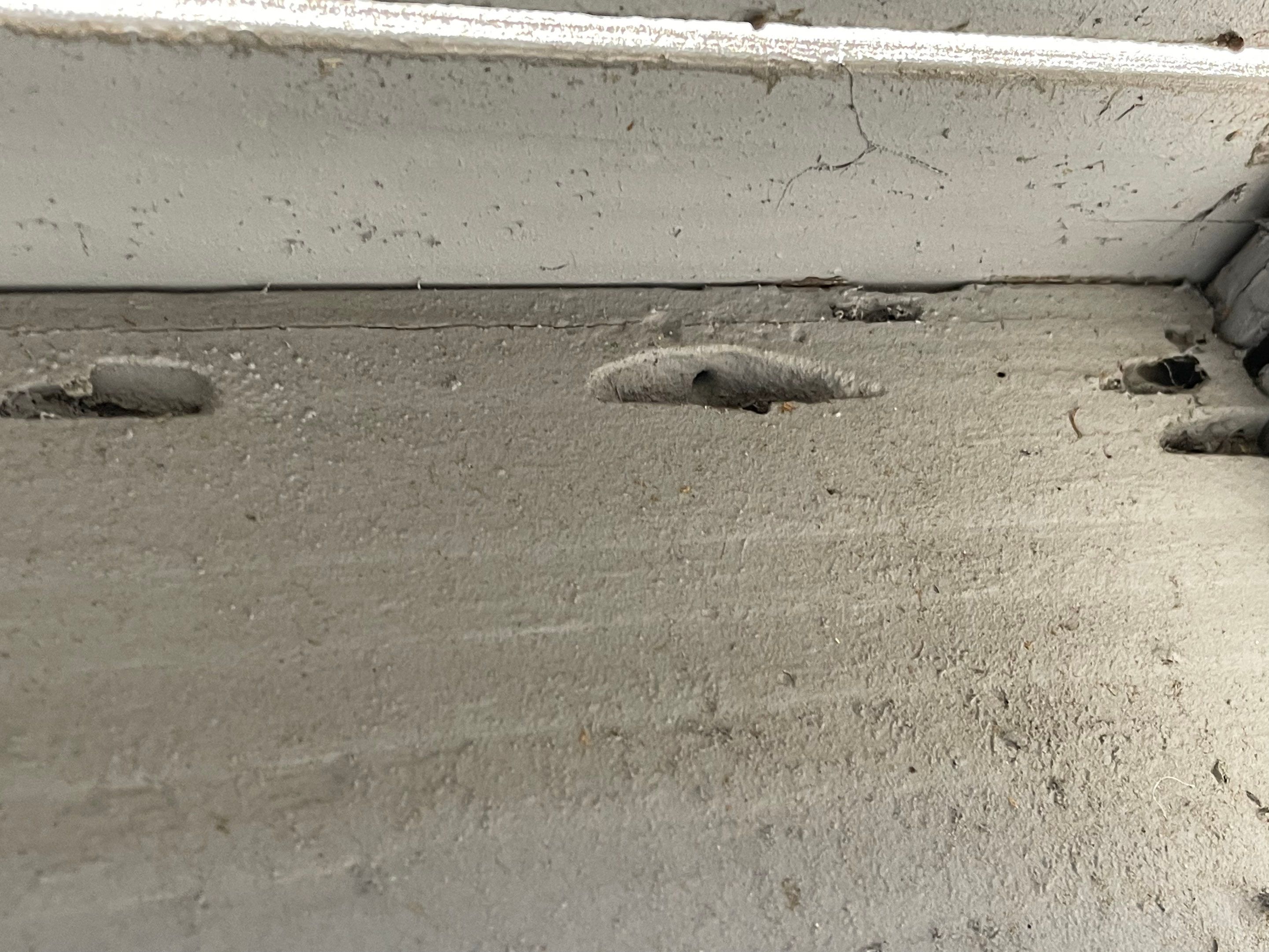 Wood Destroying Organisms Report by GLOBAL Termite Solutions