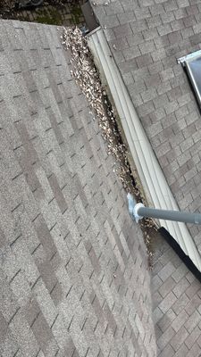 Turtle Shell gutter protection installation in Batavia, IL 60510, photograph 10