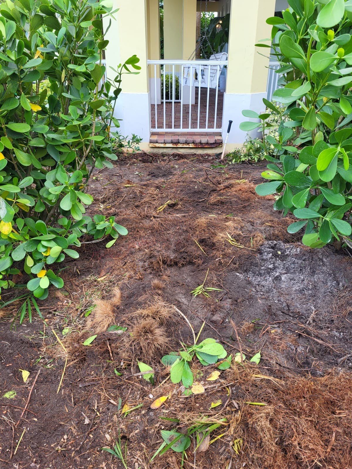 Hazard  by The Landscaping People