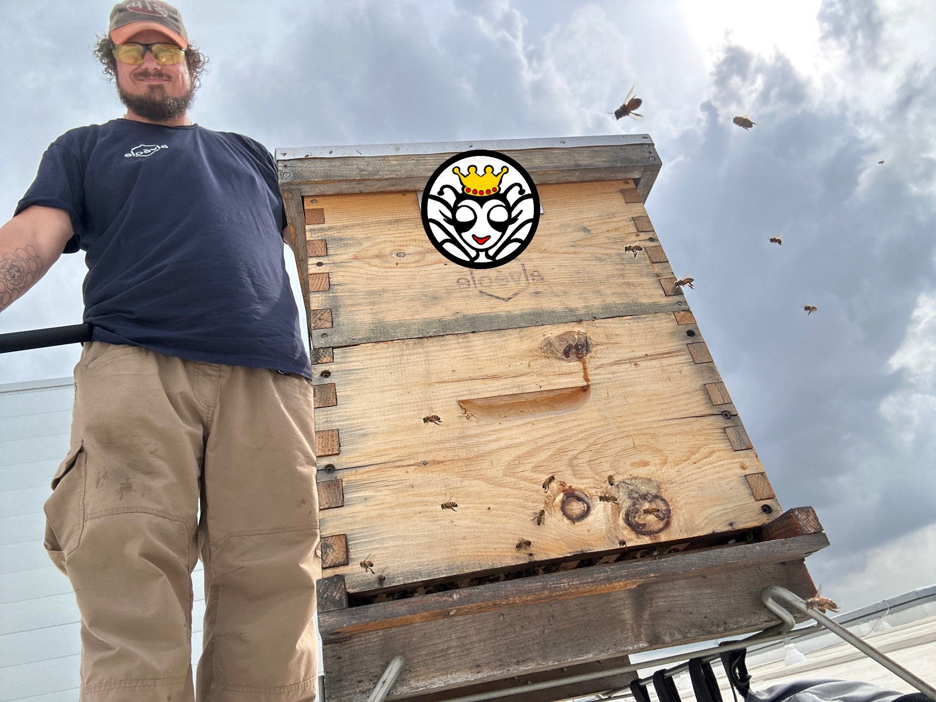 Rooftop Bees in Frisco by Rockwall Honey Bee Company