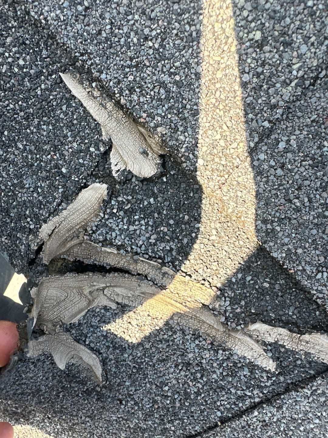 Roof Repair Pasadena by Roof Repair Services LLC