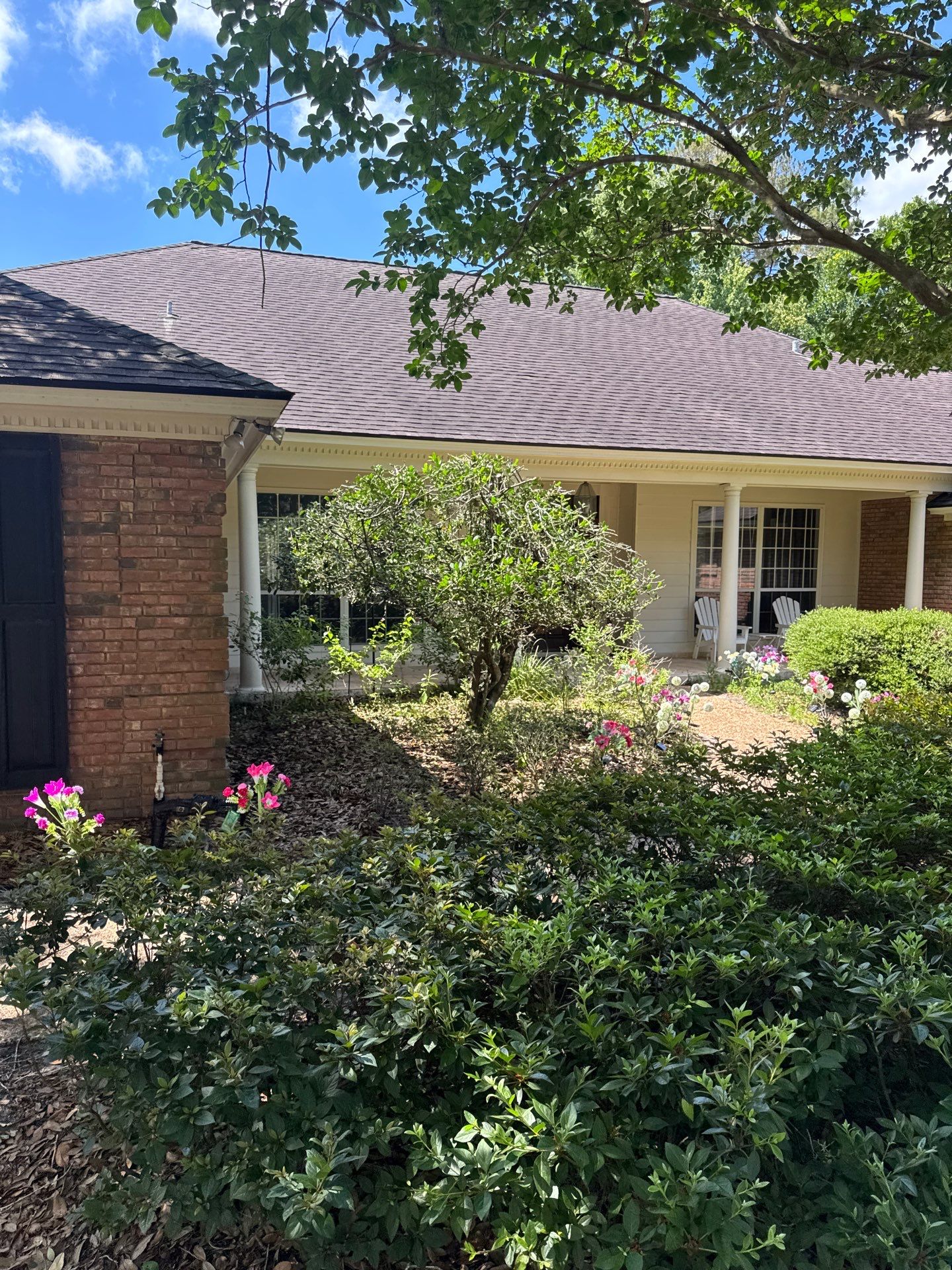 Deerwood Resident | Tree Trimming by ProGreen Services