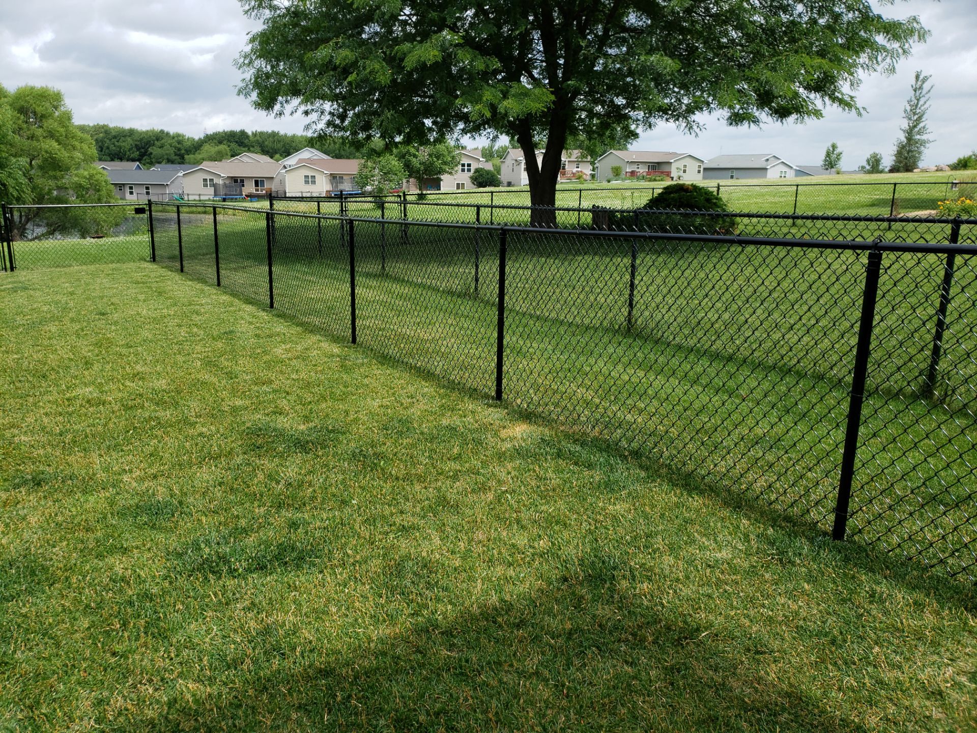 Black Vinyl Chain Link Perimeter Fence Installation in Waterloo by Perfect Picket Fence and Stain