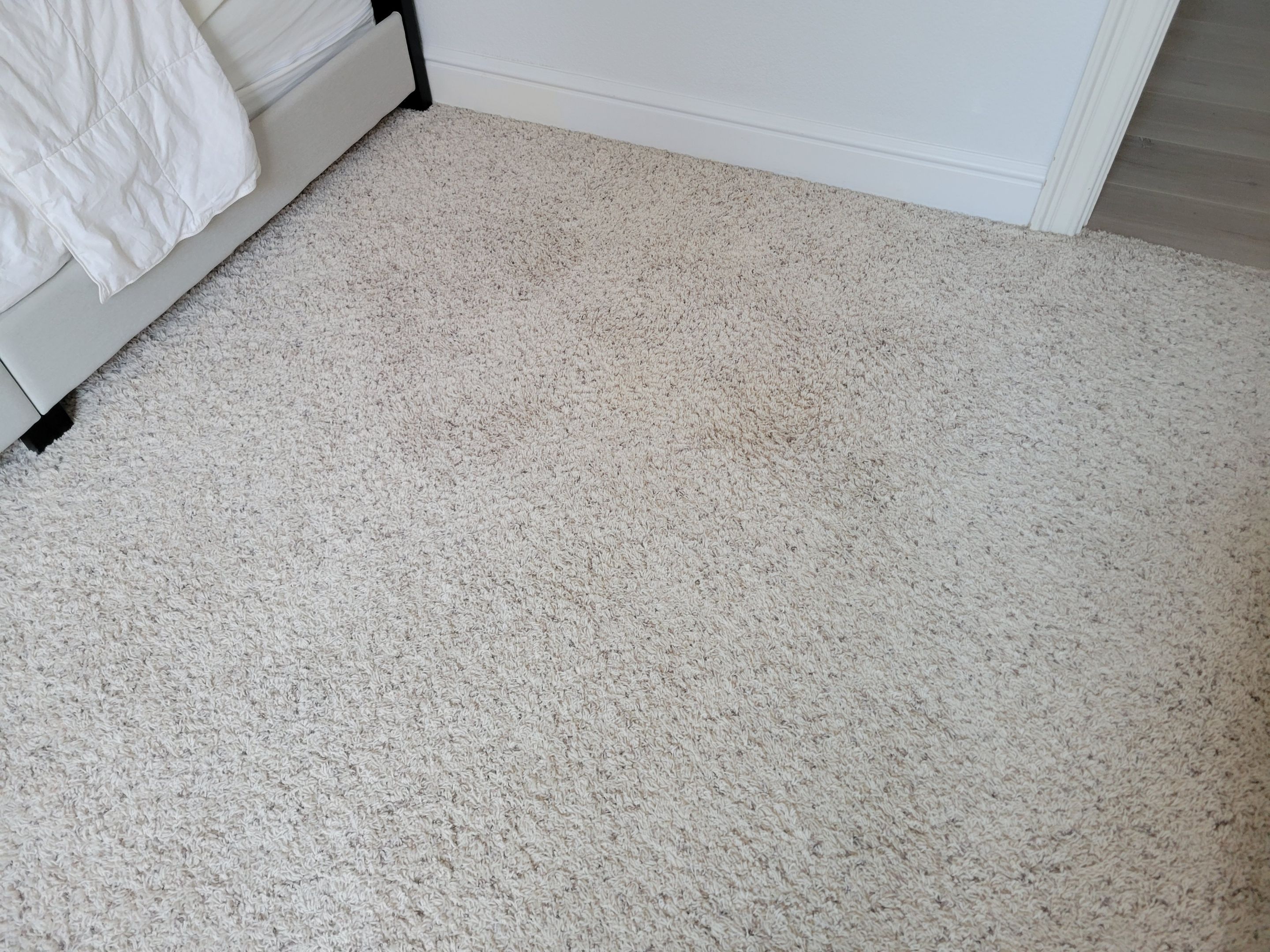 Carpet Re-stretching and Stain Removal by Ardent Carpet Restore LLC