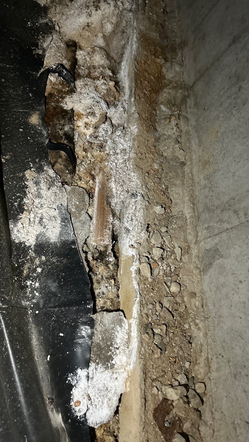 Mold Damage by Accountable Home Services
