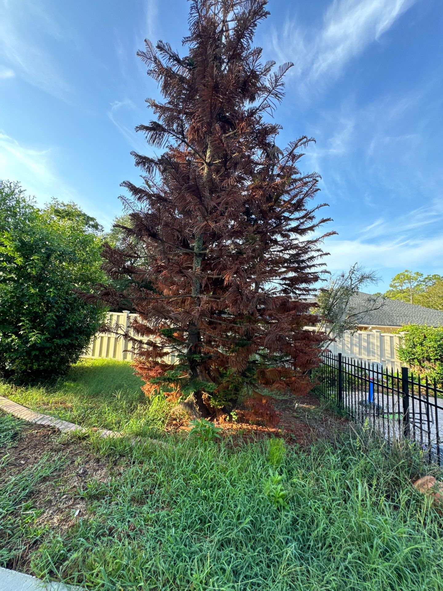 Deerwood Resident | Sod & Bed Design/Plant Installation by ProGreen Services